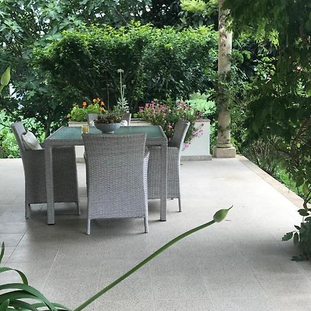 Camelias Acomodação com café da manhã Guimarães Exterior foto