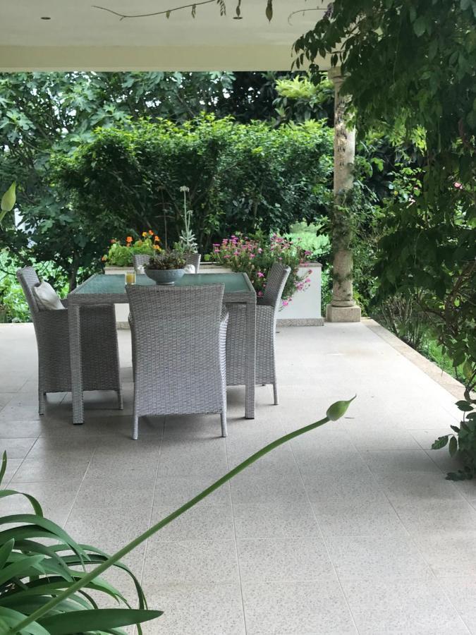Camelias Acomodação com café da manhã Guimarães Exterior foto